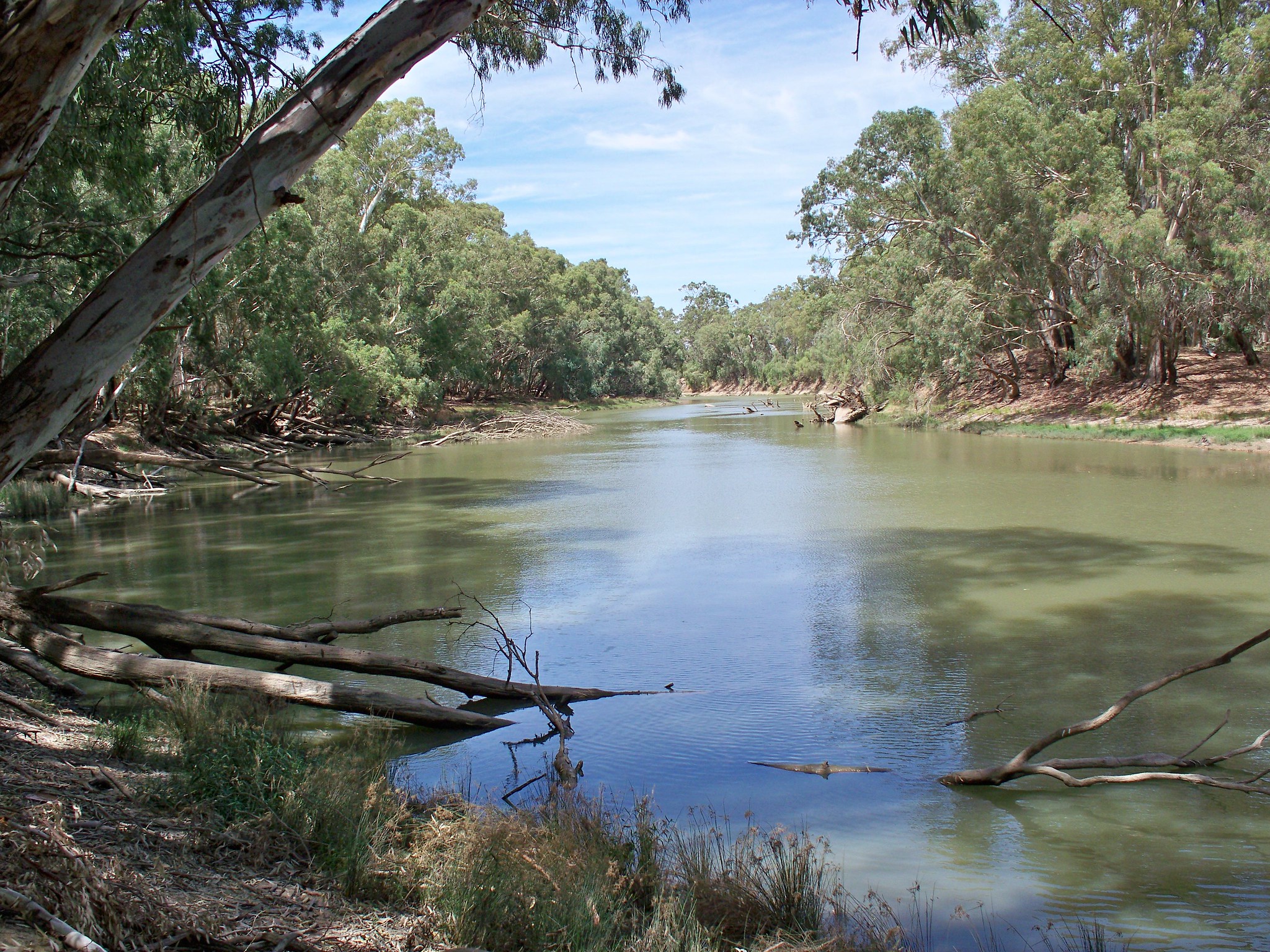 image of the Murrumbidgee River 5km east of Hay NSW