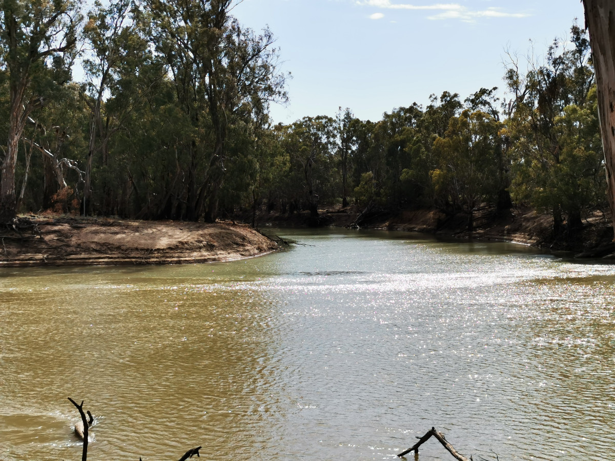 image of Murrumbidgee River joining the Murray River