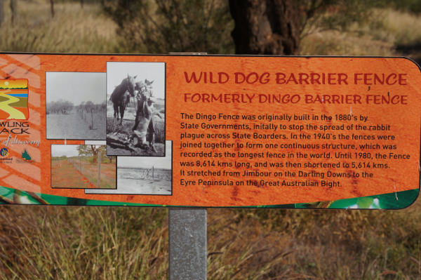 Wild Dog Fence at Hungerford on the NSW/Qld state border